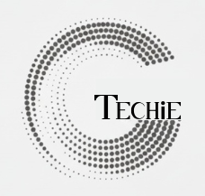 TechieGroom Logo